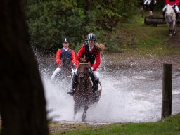 IMG_8399_web